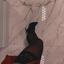 MoneyyBabee1