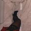 MoneyyBabee1
