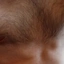 sex4569