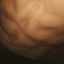 Nuflana73