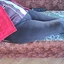 Gustavss1703