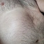 laurentijs