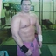Vladimirsvilks
