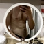 Bosson7