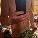 Dagnis222