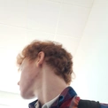 rinijs