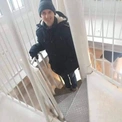 Vladimirs121
