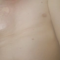 esgribu15