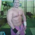 Vladimirsvilks