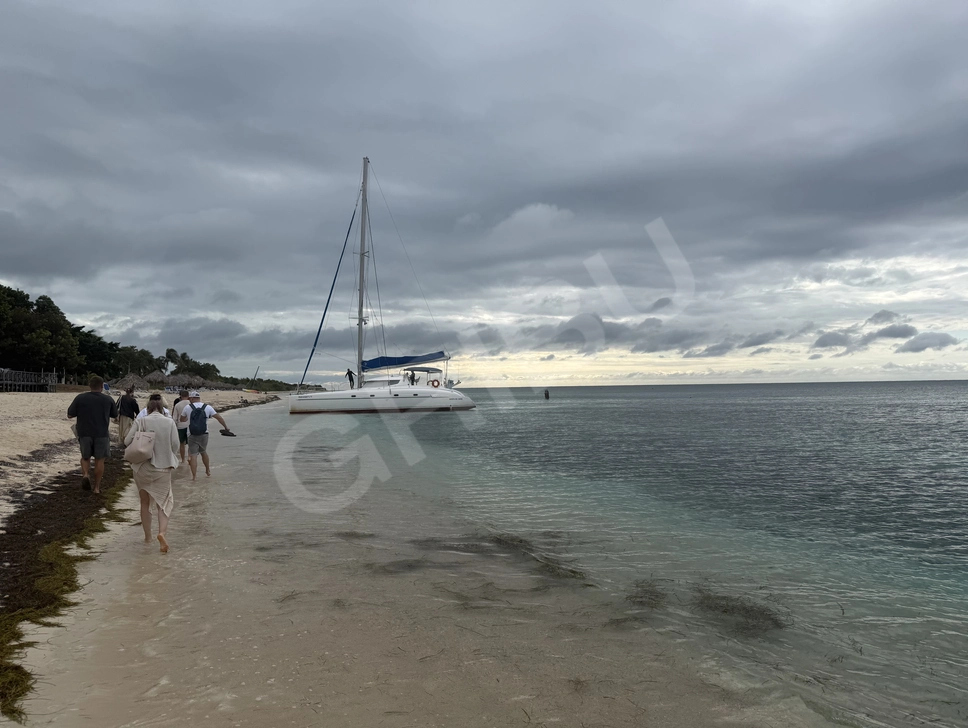 Advertisement (8828613) - Richardsx 1