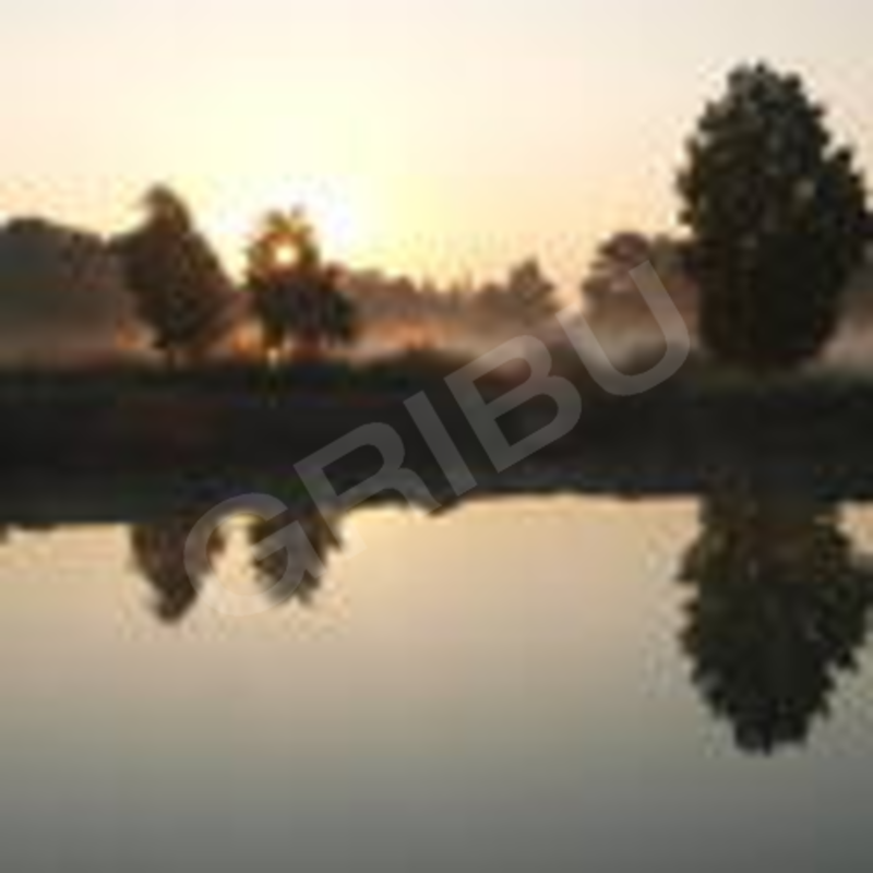 Gunvaldis780732
