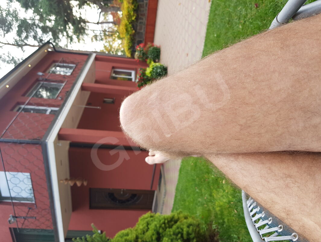 Janderbijevs4368996