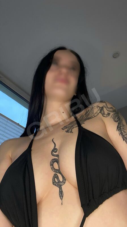 zaniitekk6146802