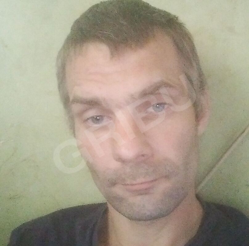 ai4iniex236226440