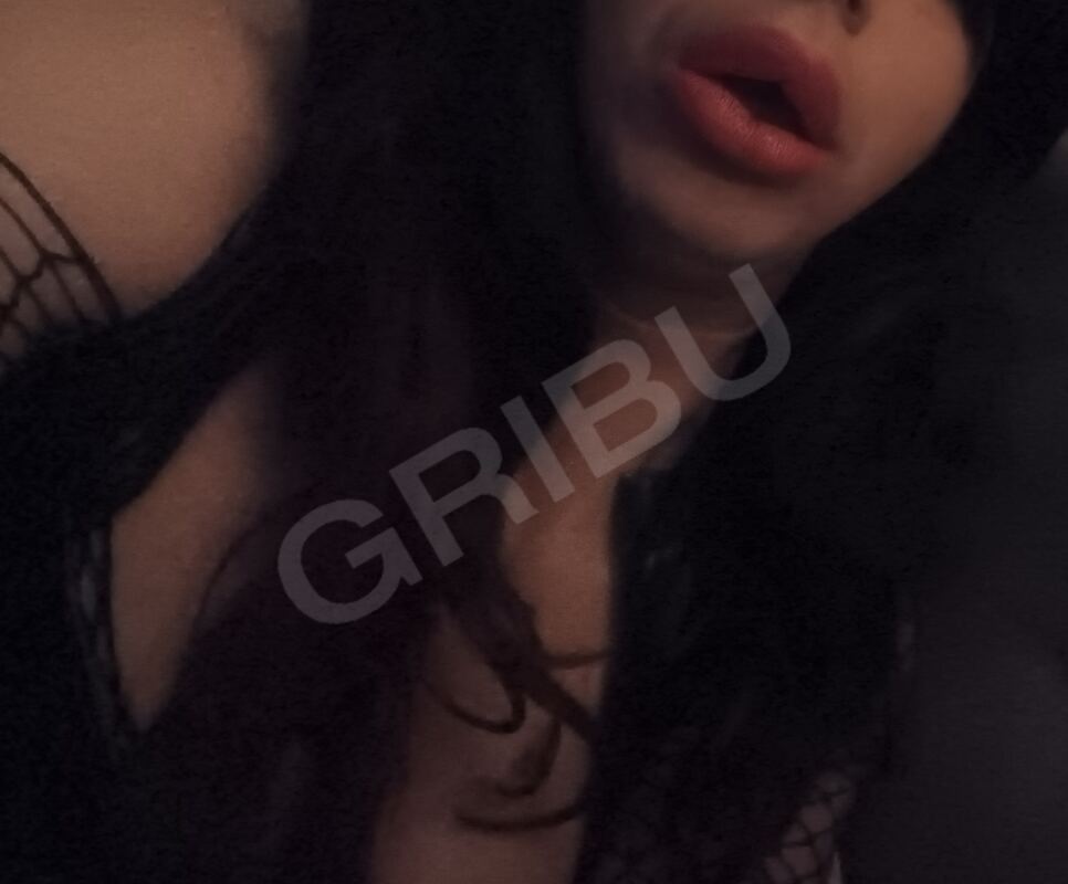 sisy126148484