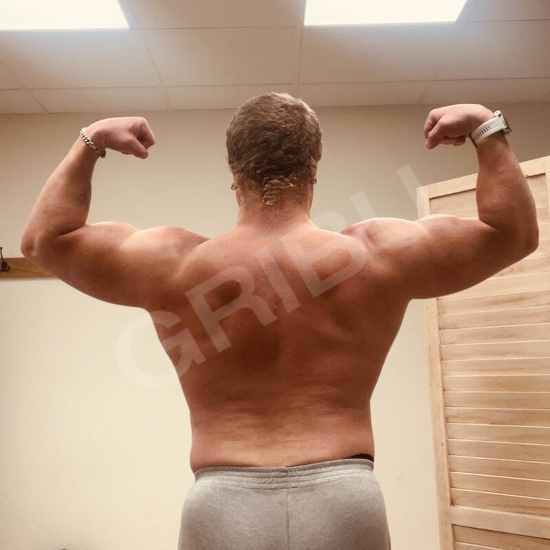 Guldbock6025391