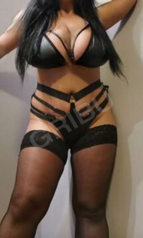 Angelicastar5955951