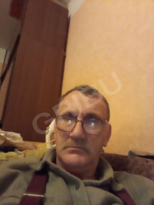 Silovsg62886241