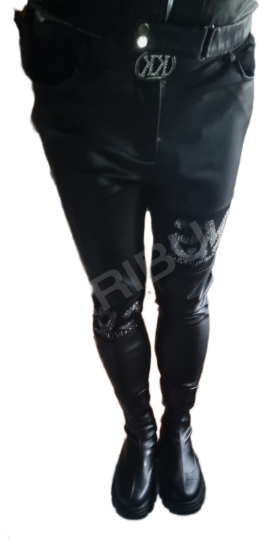 Vizas5994878