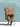hengst