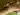 Advertisement (8852496) - Alexxx778990 2