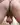 Ed