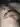 Igors