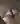 ParisMeitene69