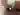Advertisement (8726583) - Secretly96 4