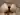Advertisement (8829806) - serenj75 5