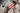 Advertisement (8807265) - STRAPONLAND 6