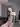 sexboy111