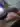 Andris