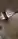 ParisMeitene69