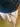 Andrius