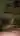 Reinis20Cm