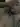 Couplefck