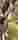 Advertisement (8588488) - RockyMow 13
