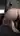 Aleks2600