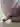 Advertisement (8850782) - Alexzs 2