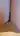 Analaissex
