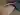 Advertisement (8822334) - CrazyDick 2