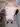 247HORNY247