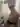 Sweetlucy18