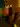 pipars7777
