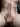 Toorop
