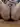 Anton