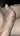 Kaspars