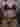 Advertisement (8772024) - crosscdcd 3