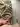JonesDavid